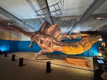 巨大恐竜展2025に投稿された画像（2025/8/17）