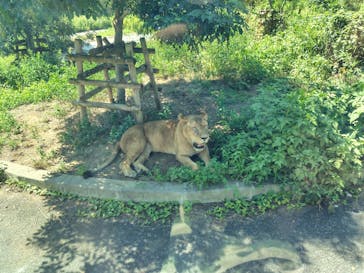 東京動物園協会_多摩動物公園に投稿された画像（2025/8/17）