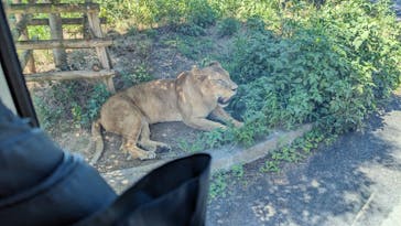 東京動物園協会_多摩動物公園に投稿された画像（2025/8/17）