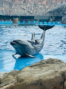 名古屋港水族館に投稿された画像（2025/8/17）