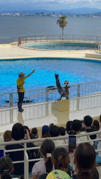 マリンワールド海の中道に投稿された画像（2025/8/17）