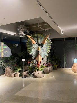 海洋堂ホビーランドに投稿された画像（2025/8/17）