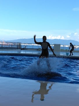 マリンワールド海の中道に投稿された画像（2025/8/17）
