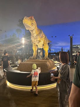 福井県立恐竜博物館に投稿された画像（2025/8/17）
