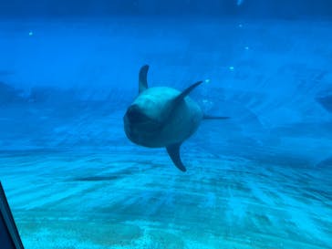 名古屋港水族館に投稿された画像（2025/8/17）