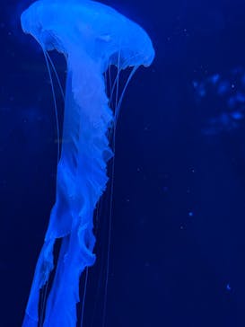 AOAO SAPPOROに投稿された画像（2025/8/17）