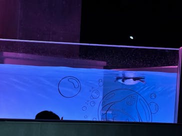 AOAO SAPPOROに投稿された画像（2025/8/17）