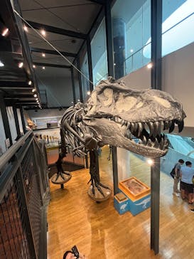 福井県立恐竜博物館に投稿された画像（2025/8/17）