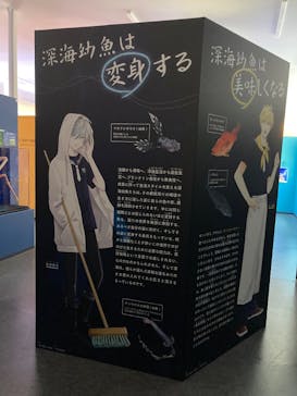 幼魚水族館に投稿された画像（2025/8/17）