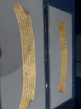 ブルックリン博物館所蔵　特別展　古代エジプト（豊田会場）に投稿された画像（2025/8/17）