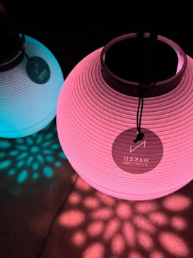 NAKED meets 二条城 2025 観月に投稿された画像（2025/8/17）