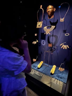 ACN ラムセス大王展 ファラオたちの黄金に投稿された画像（2025/8/17）