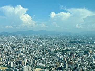 ハルカス300(展望台)に投稿された画像（2025/8/17）