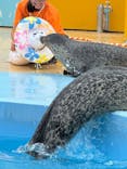 東武動物公園に投稿された画像（2025/8/17）