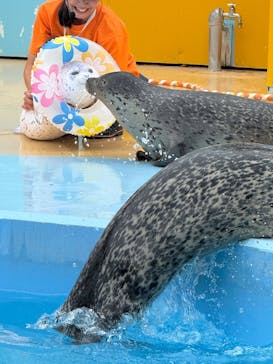 東武動物公園に投稿された画像（2025/8/17）