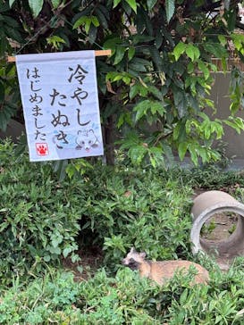 東武動物公園に投稿された画像（2025/8/17）