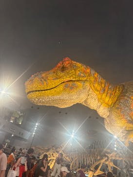 福井県立恐竜博物館に投稿された画像（2025/8/17）
