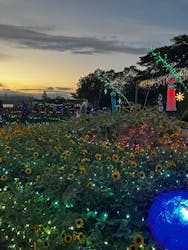 せんだい農業園芸センター　みどりの杜に投稿された画像（2025/8/17）