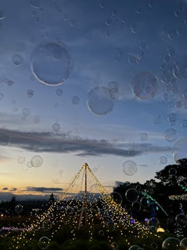 せんだい農業園芸センター　みどりの杜に投稿された画像（2025/8/17）