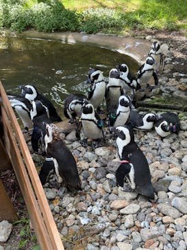 那須どうぶつ王国に投稿された画像（2025/8/17）