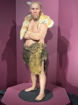 特別展「氷河期展 〜人類が見た4万年前の世界〜」（国立科学博物館）に投稿された画像（2025/8/17）
