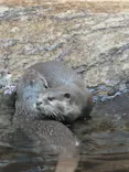仙台うみの杜水族館に投稿された画像（2025/8/17）