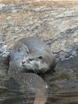 仙台うみの杜水族館に投稿された画像（2025/8/17）