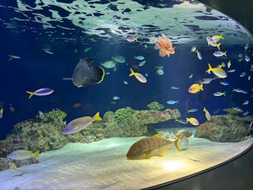 マリンワールド海の中道に投稿された画像（2025/8/17）