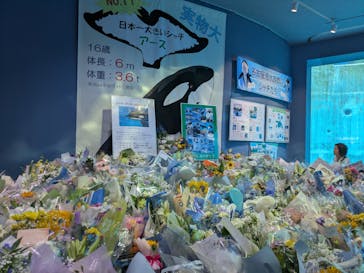 名古屋港水族館に投稿された画像（2025/8/17）