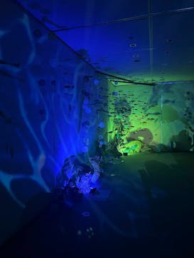 旅する光の切り絵展 ～くうそうって、まほうだよ～に投稿された画像（2025/8/17）