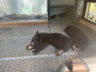 阿蘇カドリー・ドミニオンに投稿された画像（2025/8/17）