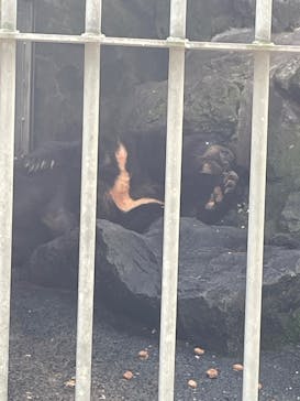 阿蘇カドリー・ドミニオンに投稿された画像（2025/8/17）