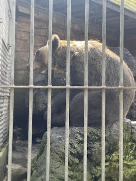 阿蘇カドリー・ドミニオンに投稿された画像（2025/8/17）