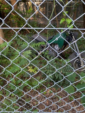 芝政ワールドに投稿された画像（2025/8/17）