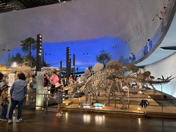 福井県立恐竜博物館に投稿された画像（2025/8/17）