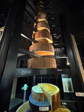 国立科学博物館に投稿された画像（2025/8/17）