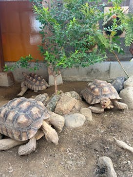 竹島水族館に投稿された画像（2025/8/17）