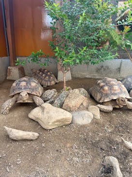 竹島水族館に投稿された画像（2025/8/17）