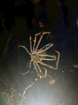 竹島水族館に投稿された画像（2025/8/17）