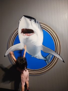 とりっくあーとぴあ日光に投稿された画像（2025/8/17）