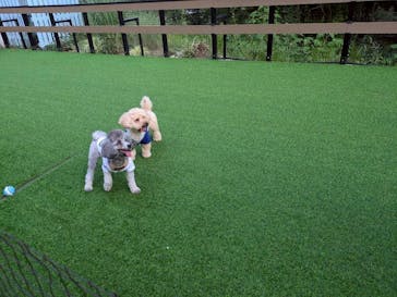 ムーミンバレーパークに投稿された画像（2025/8/17）