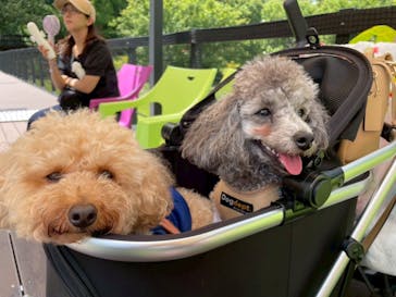 ムーミンバレーパークに投稿された画像（2025/8/17）