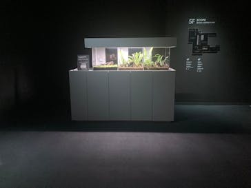 AOAO SAPPOROに投稿された画像（2025/8/17）