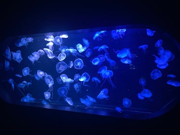 AOAO SAPPOROに投稿された画像（2025/8/17）