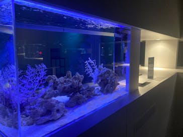 AOAO SAPPOROに投稿された画像（2025/8/17）