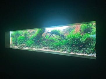 AOAO SAPPOROに投稿された画像（2025/8/17）