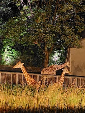 名古屋市東山動植物園に投稿された画像（2025/8/17）
