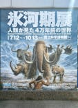 特別展「氷河期展 〜人類が見た4万年前の世界〜」（国立科学博物館）に投稿された画像（2025/8/17）