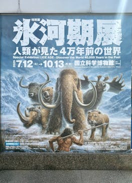 特別展「氷河期展 〜人類が見た4万年前の世界〜」（国立科学博物館）に投稿された画像（2025/8/17）