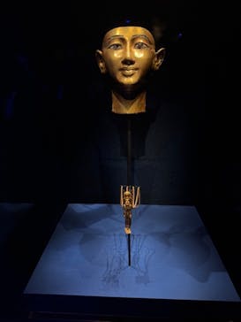 ACN ラムセス大王展 ファラオたちの黄金に投稿された画像（2025/8/17）